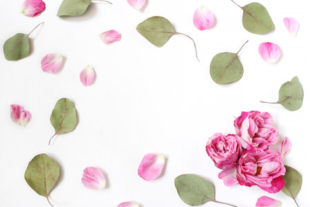 Styled stock photo. Feminine wedding desktop composition with pink roses petals and flowers, dry green eucalyptus leaves and white background. Floral pattern. Empty space. Top view. Picture for blog.の写真素材