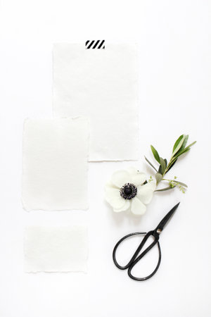 Wedding, birthday desktop mock-up scene. Blank cotton paper greeting cards, black vintage sciccors and olive branch with anemone flower.White table background. Vertical feminine flat lay, top view.の写真素材