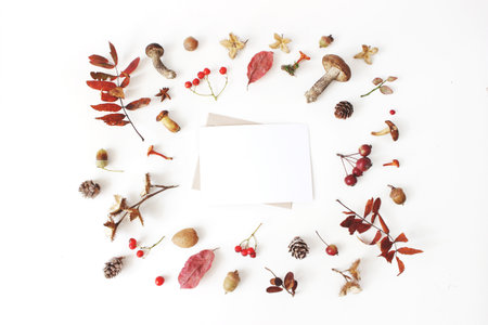 Autumn styled botanical arrangement. Blank card mockup scene. Composition of mushrooms, pine cones, beechnuts, colorful dried leaves and rowan berries. White table background. Fall frame, flat layの写真素材