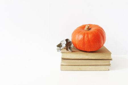 Autumn still life composition. Vintage scene with orange pumpkin and eucalyptus branch on old pile of books laying on white table background. Thanksgiving, fall, halloween concept. Empty space.の写真素材