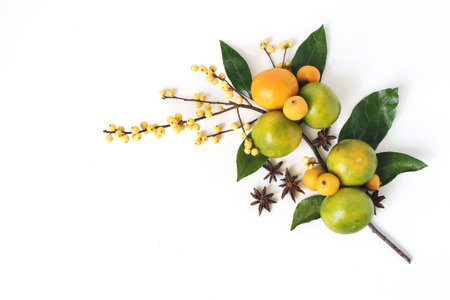 Christmas floral composition. Decorative corner, branch of tangerine citrus fruit and leaves, anise stars, yellow holly berries and little apples isolated on white table background. Flat lay, top viewの写真素材