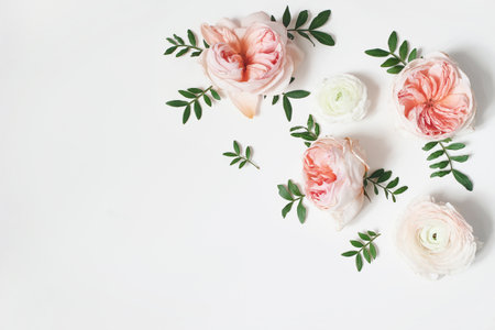 Decorative corner, floral composition with pink English roses, ranunculus and green leaves on white...