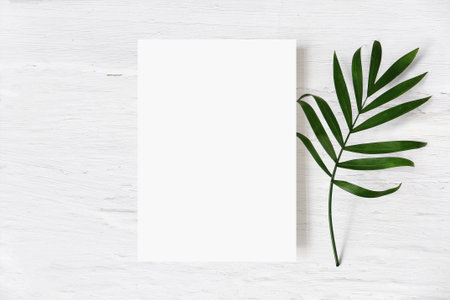 Feminine wedding stationery mock-up, desk scene. Blank greeting card and green palm leaf on white...