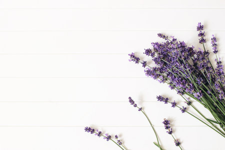 Bouquet of lavender flowers on white wooden table background. Decorative floral frame, web banner with Lavandula officinalis. French summer design, aromatherapy concept. Healthy fragrant herbs.