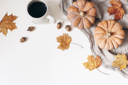 Autumn, fall decorative floral frame, banner. Composition of orange pumpkins, colorful maple leaves, cotton plaid, cup of coffee and acorns isolated on white table background. Flat lay, top view.の写真素材