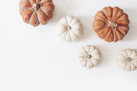 Autumn frame made of orange and white pumpkins isolated on table background. Fall, Halloween, Thanksgiving concept. Styled stock flat lay photography, web banner. Top view. Empty copy space.の写真素材