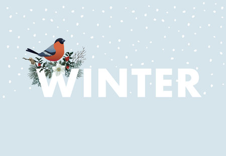 Winter web banner. Bullfinch bird sitting on W letter. Floral garland of pine tree branches, cranberries and narcissus flowers. Vintage design, vector illustration background with falling snow.のイラスト素材