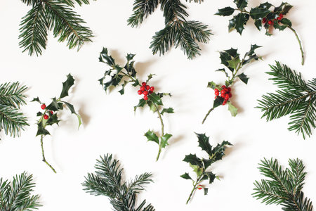 Christmas natural floral pattern. Composition of red holly berries and green fir tree branches isolated on white table background. Winter natural decoration. Botanical festive flat lay, top view.の写真素材
