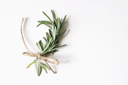 Closeup of fresh rosemary herb branch with craft rope isolated on white table background. Healthy food. Culinary, gardening concept. Rosmarinus officinalis green aromatic leaves. Empty copy space.の写真素材