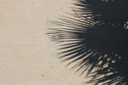 Palm leaves shadows on beige concrete rough textured background. Dark silhouette of the exotic leaves in bright sunlight. Summer vacation concept, flat lay, top view. Empty copy space.の写真素材