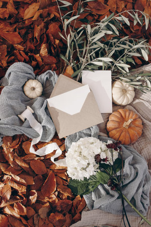 Autumn, fall stationery mockup scene. Blank greeting cards, invitation, craft paper envelope, olive branches, pumpkins and hydrangea flowers. Dry red beech leafs ground in sunlight. Thanksgiving.の写真素材