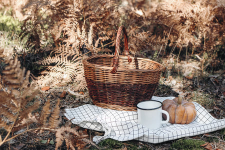 Wicker picnic basket on checkered blanket in sunny day. Enamel mug with orange pumpkin. Defocused autumn forest background with dry fern leaves. Fall outdoor meal, relaxation concept.の写真素材