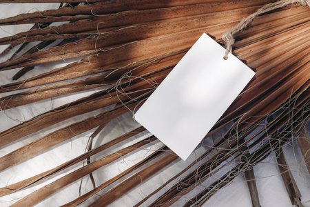 Blank gift, product tag mock-up with natural rope on dry palm leaves. Closeup of empty paper label in sunlight with shadows. Tropical still life composition. Branding, summer sale concept. Top view.の写真素材