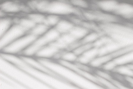 Shadows of palm tree leaves on white rough textured background, wall. Dark silhouette of tropic...