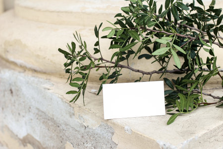 Empty business card, invitation mockup. Summer still life scene with green lentisk branch against old yellow shabby wall. Old exotic architecture. Birthday, wedding stationery closeup, no people.の写真素材