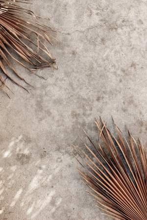 Dry palm leaves on grunge concrete textured background. Natural decorative corners composition. Tropical exotic design. Summer nature concept. Empty copy space, flat lay, top view. Vertical.の写真素材