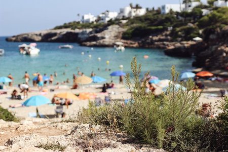 Summer travel, vacation concept. Seashore and beach landscape. Blurred background with sea, boats...