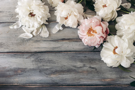 Decorative floral frame, banner made of pink and white peonies flowers.の写真素材
