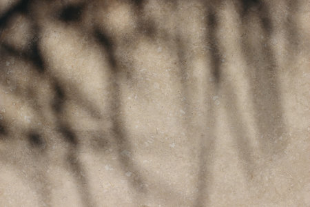 Dark palm tree leaves shadows against beige marble floor in sunny day. Summer sunlight overlay effect. Empty copy space. Natural stone, rock texture. Abstract background.の写真素材