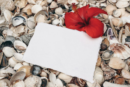 Closeup of white and gray pebble stones and sea shells on beach. Blank greeting card, invitation mockup with hibiscus flower. Ocean, seashore natural textured background. Summer vacation concept.の写真素材