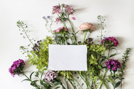 Summer greeting card, invitation mockup. Garden and wild meadow flowers. Floral banner. Shepherds purse, dianthus and aquilegia plants isolated on white table background. Top view, flat lay.の写真素材