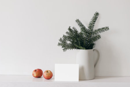 Winter festive stationery still life. Jug with green branches, red apple fruit on white table background. Blank greeting card, invitation mockup. Front view. No people. Christmas composition.の写真素材