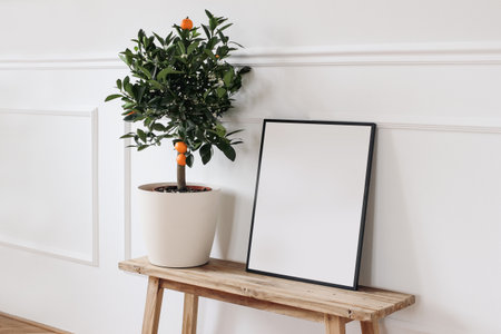 Summer mockup scene. Tangerine, citrus calamondin fruit tree in flower pot. Blank black picture frame on old wooden bench, table. Wall moulding background, trim decor. Mediterranean living room.の写真素材