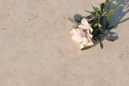 Blooming oleander and olive branches in sunset, long shadows. Golden marble backgound, sunlight,...