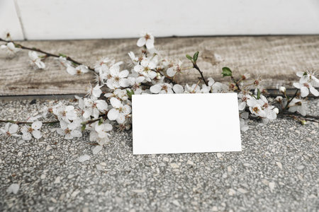 Wedding feminine spring styled stock photo. Business mockup card scene with white cherry tree blossoms. Textured terrazzo flooring. Selective focus, blurred door background. Front view.の写真素材