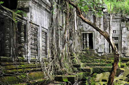 Beng Mealea is a temple in the Angkor Wat style located 40 km east of the main group of temples at...