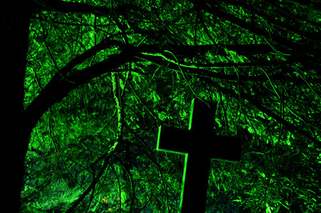 graveyard at nightの写真素材