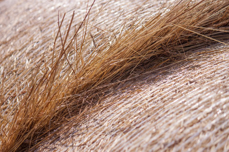 Straw bale as a backgroundの写真素材