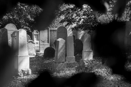 Old tombstone on a jewish cemetery near town Divisov in the Czech republicのeditorial素材