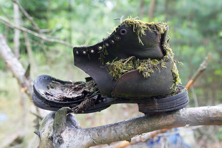 Garbage in the forest, rubbish dumpの写真素材