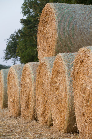 Straw bales on a farmland in central Europe