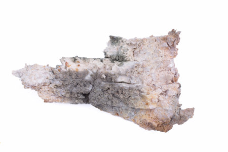 Mouldy bread isolated on a white backgroundの写真素材