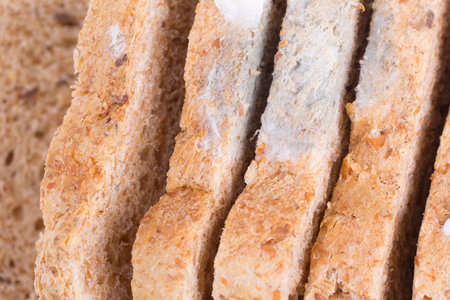 Mouldy breadの写真素材