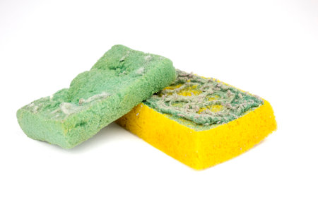 Used sponges for washing the dishes