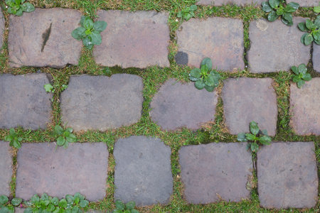 Old dirty cobble stones with grass, Prague, background