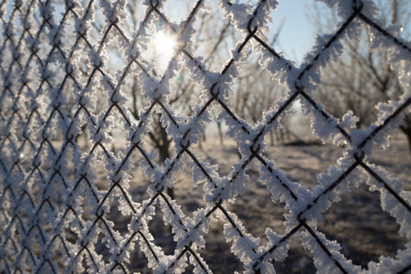 Rime on a fence, winter, snow, sunの写真素材
