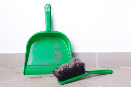 Common house dust on a floor, dustpan