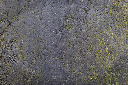 Tree bark as a backgroundの写真素材