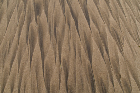 Sand on a beach as a backgroundの写真素材