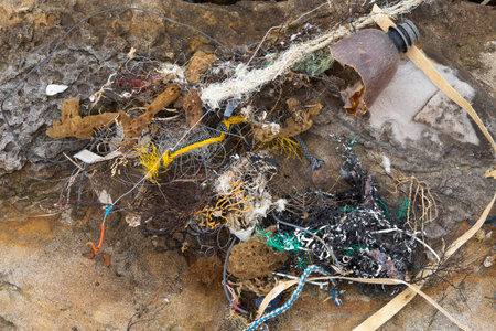 Garbage on a seashore, Pacific Ocean, Asiaの写真素材