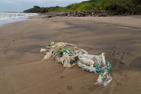 Garbage on a seashore, Pacific Ocean, Asiaの写真素材