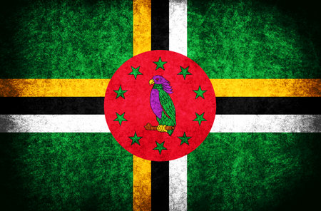 The National Flag of the Dominicaの写真素材