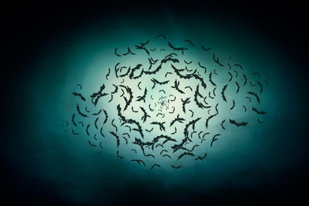 dark night skyの写真素材