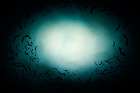 dark night skyの写真素材