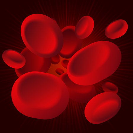 blood cellの写真素材