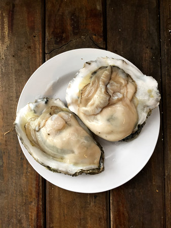 oyster